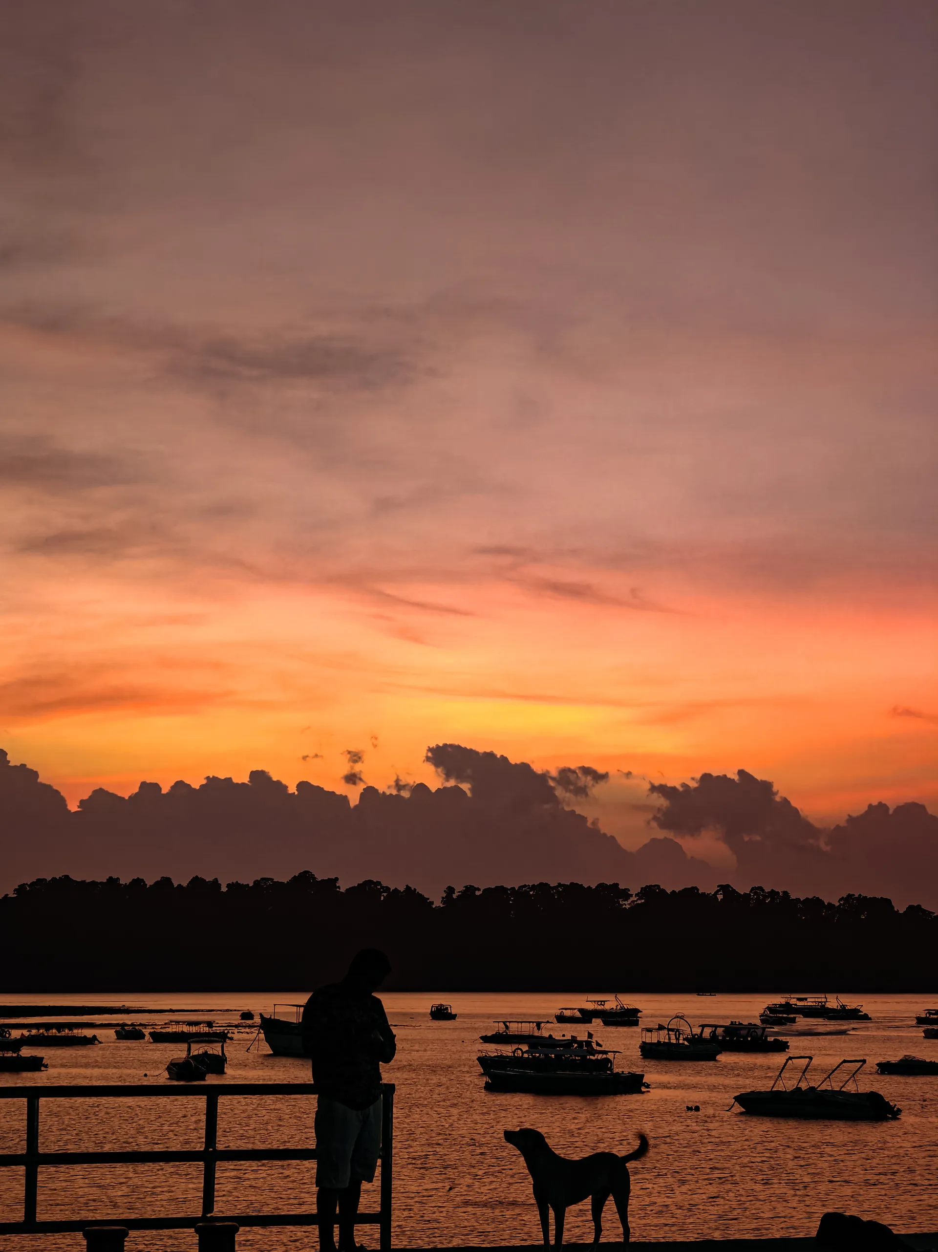 IMG20240909174029 (1)